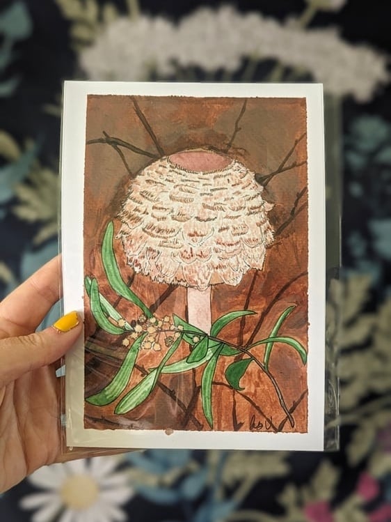 Image of Chlorophyllum brunneum & Acacia - print
