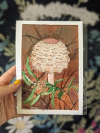 Chlorophyllum brunneum & Acacia - print