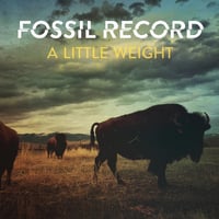 Image 1 of Fossil Record - A Little Weight Lp 