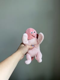 Image 1 of Octopig