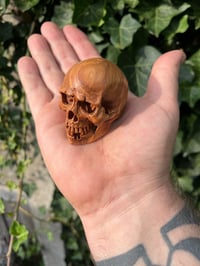 Image 3 of Olive wood skull