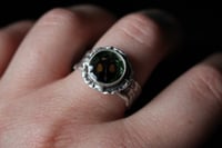 Image 3 of Dead Good harlequin ladybird ring