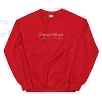 Image 13 of THE PHYSICAL THERAPY CREW