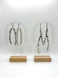 Image 1 of Thorn Earrings