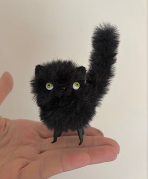 Image of Bitty Fluffy Cat in Black