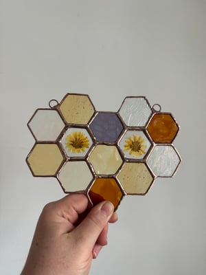 Honeycomb with Calendula