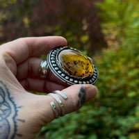 Image 4 of Large Amber Statement Piece~Choose Your Own Adventure