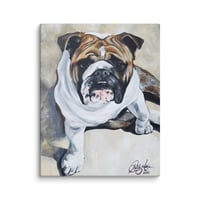 Image 4 of English Bulldog