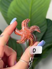 Image 15 of CHOOSE YOUR OWN MINI SOAPSTONE STARFISH