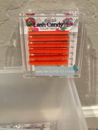 Image 10 of Mini Color Trays