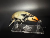 Image 2 of Molting Mudbug 