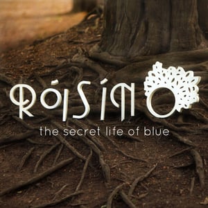 Image of The Secret Life of Blue CD (Autographed)