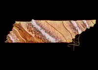 Image 1 of Rocky Top