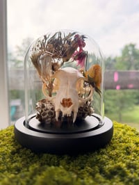 Image 6 of Honeycomb Kitty Cloche