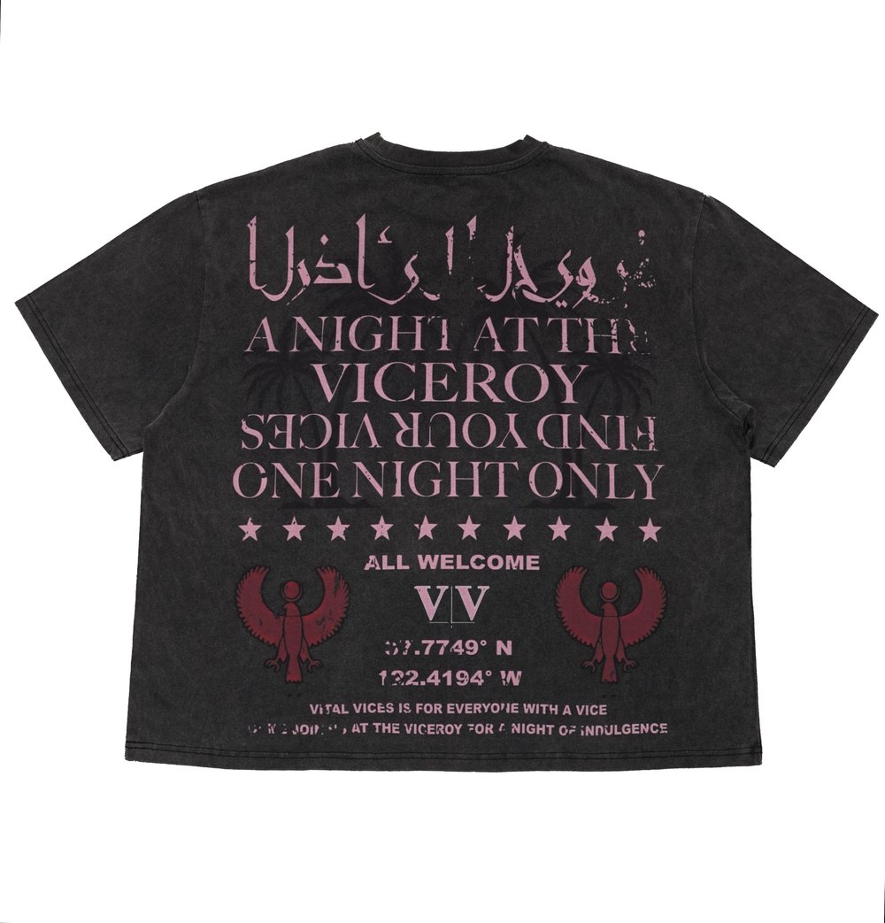 Image of Night at the Viceroy