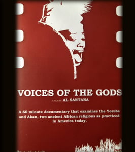 Image of Voices of The Gods DVD