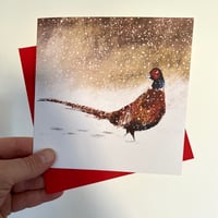 Image 2 of Set of 'Winter Birds' Luxury Greetings Cards