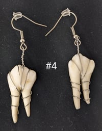 Image 4 of Large Deer Molar Earrings