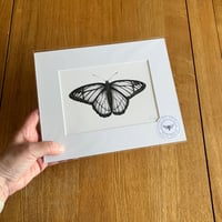 Image 4 of Various 10x8 B/W Butterfly Giclee Prints