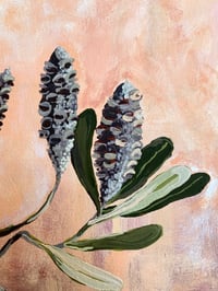 Image 4 of old banksia gentle dawn 