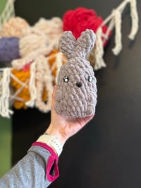 Image 1 of Grey mini bunny