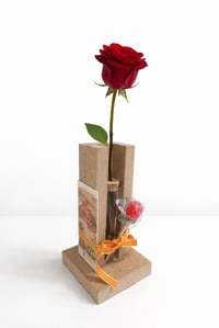 Rosa Premium