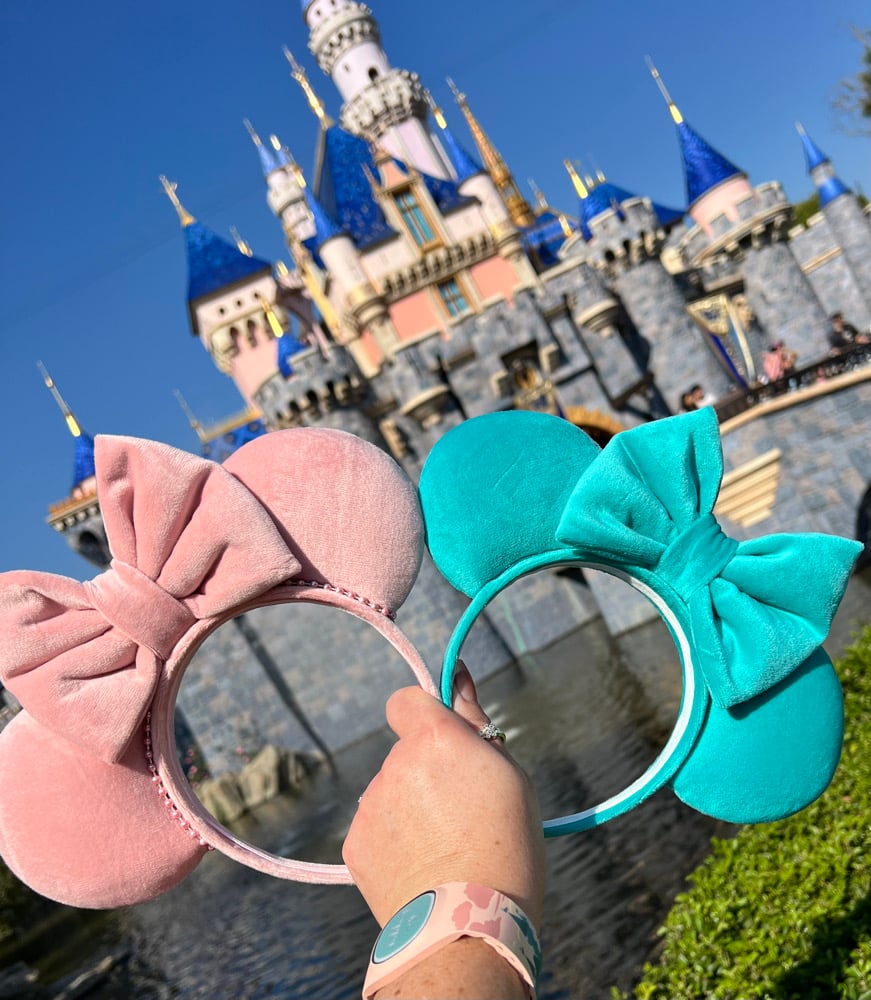 Image of Pastel Velvet Ears