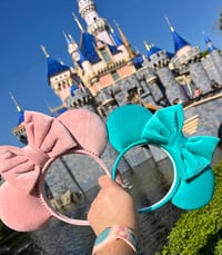 Image 5 of Pastel Velvet Ears