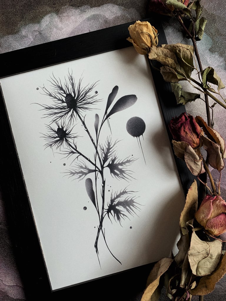 Chardons - A4