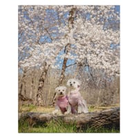 Image 4 of Jigsaw puzzle