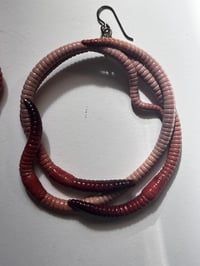 Image 3 of LARGE Worm Hoops