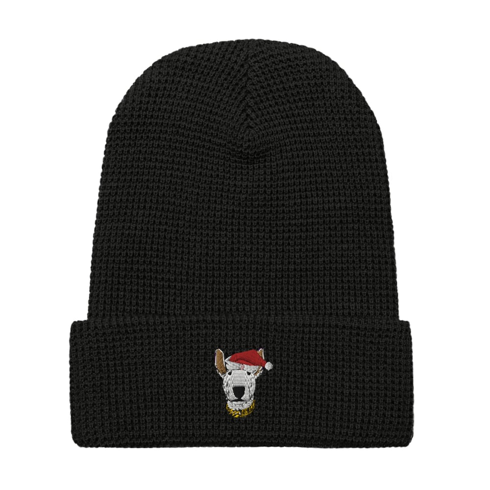 Image of SAUSO CLAUS WAFFLE BEANIE