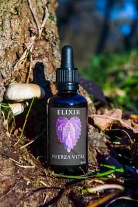 Elixir FUERZA VITAL
