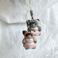 Image 2 of pretty in pink raccoons