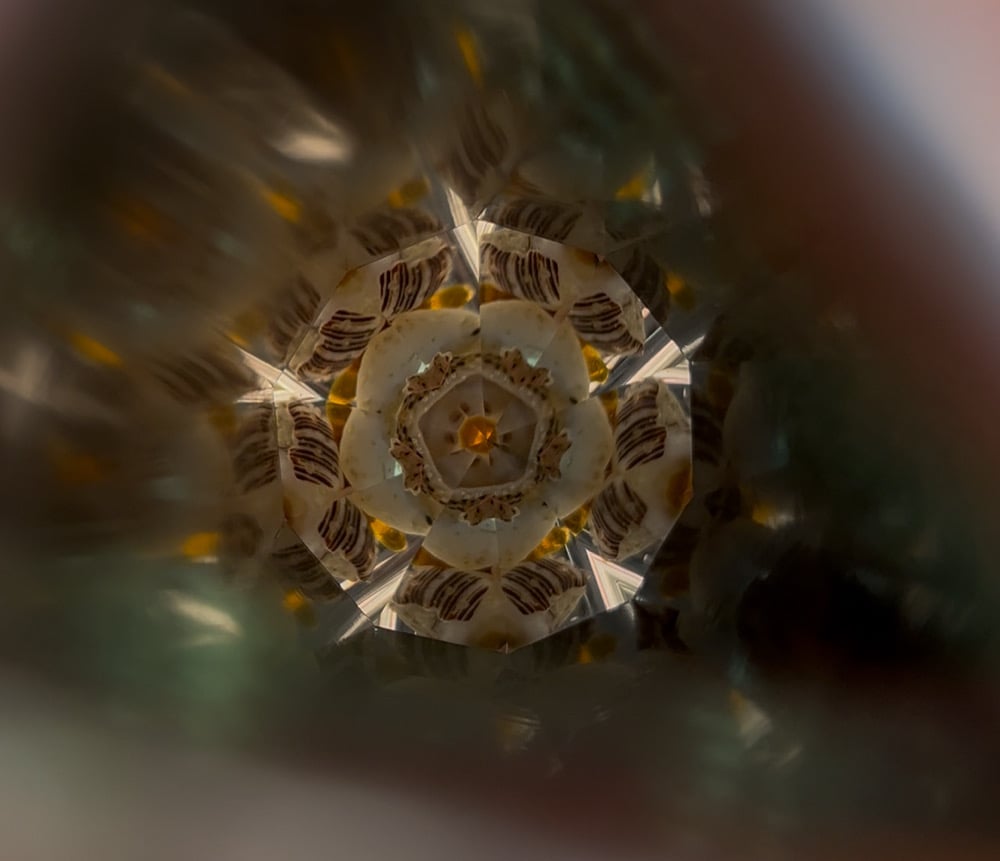 Image of Shell Beach Odyssey AuraScope