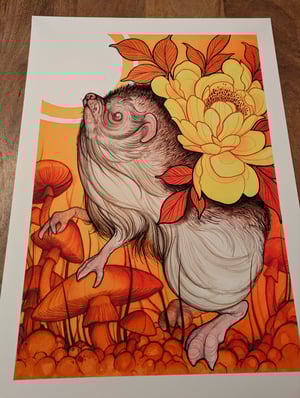 Image of Sunset forager A2/A3