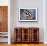 Image 3 of Sardine’s & Blue Gingham Print