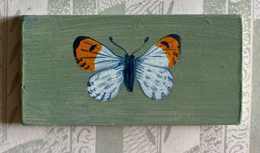 Image of Miniature Butterfly (L)
