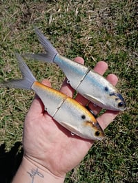 Image 1 of Snack Shad