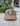 Mista Seven Fleece SnapBack Tan White   copy