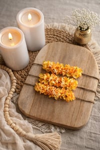 Image 4 of mini halo Soleil 