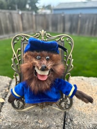 Oliver (Framed Mink)