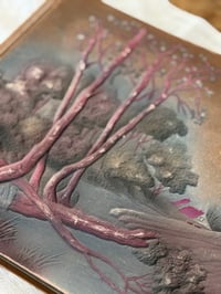 Image 3 of Anciens albums à cartes postales