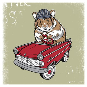 Image of Hamster, Guinea Pig Critter Print