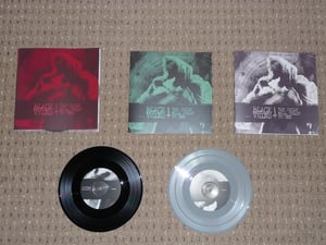 Image of The Cycle Will Cease to End 7"