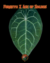 Image 5 of Forgetii x aos x dorayaki x red crystal 