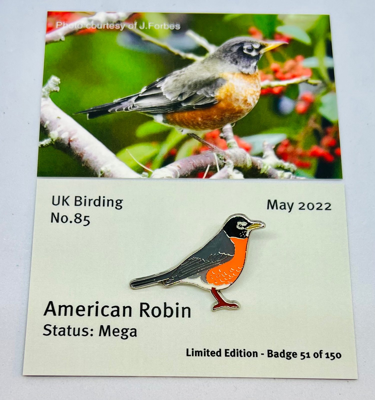 Robin Badge Reel -  UK
