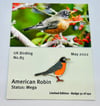 American Robin - No.85 - UK Birding Pins - Enamel Pin Badge