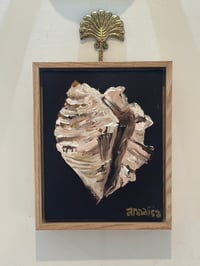 Image 3 of Conch Shell Treasure Original