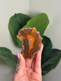 Image 1 of CONDOR AGATE -ARGENTINA- D